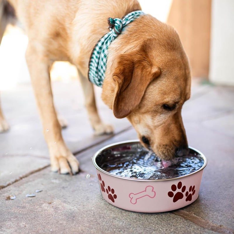 Loving Pets Bella Dog Bowls- Stainless Steel Dog & Cat Bowls - Spill Proof Dog Food Bowl, Cat Bowl, Puppy Essentials & Pet Supplies Great for Home & Travel (Large 35-65 lbs, Paparazzi Pink) - Image 5